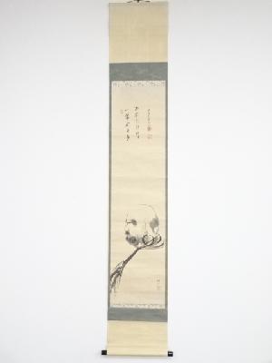 小野寺梅丘画　達磨図　松雲賛書　肉筆紙本掛軸